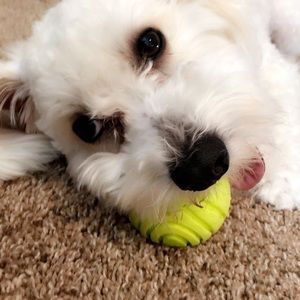 Meet your Posher, Madison